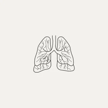 Lungs 11 Stock Illustration