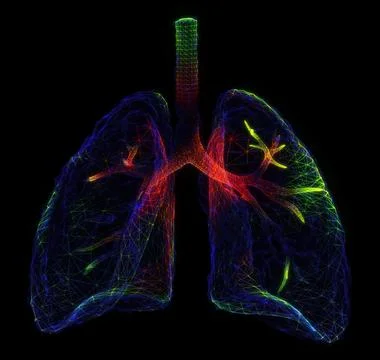 Lungs Abstract image of a human lungs in the form of sky or space, consisting of Illustrazione stock