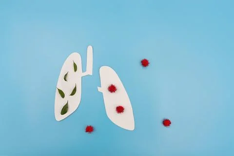 Lungs affected by virus Stock Photos