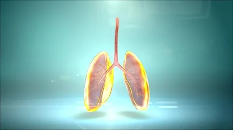Lungs with background Video stock 60643088