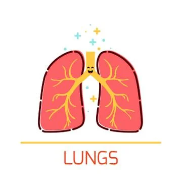 Lungs cartoon icon Stock Illustration