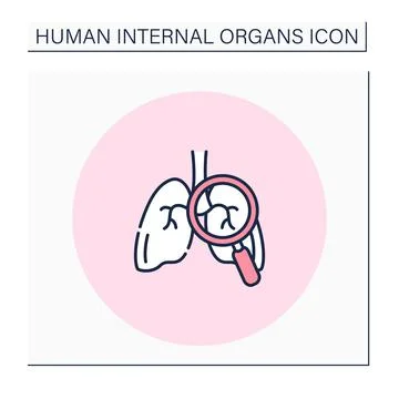Lungs color icon Stock Illustration