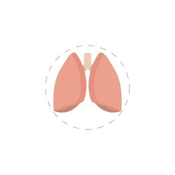 Lungs colorful vector flat icon Stock Illustration