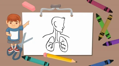 Lungs Drawing Stock Video Footage | Royalty Free Lungs Drawing Videos ...