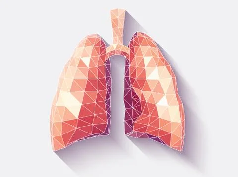 Lungs faceted Stock Illustration