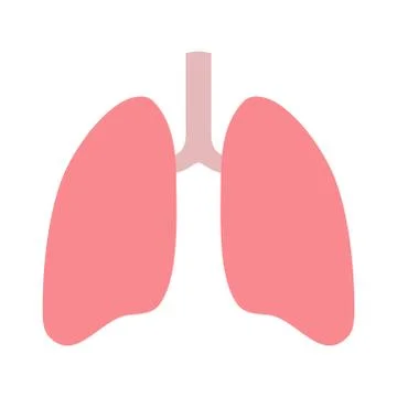 Lungs flat icon over white background. Human respiratory system with healthy  Stock Illustration
