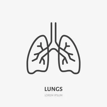 Lungs flat line icon. Vector thin pictogram of human internal organ, outline Illustrazione stock