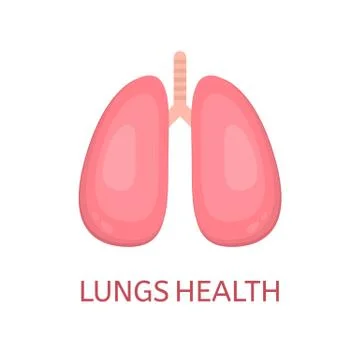 Lungs in flat style isolated on white background. Lungs health concept. Human Stock Illustration