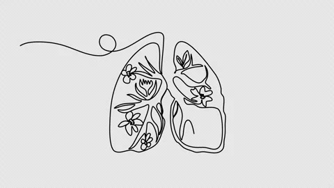 Lungs with flowers inside one line drawing animation. Video clip with alpha chan Stock Footage 266316415