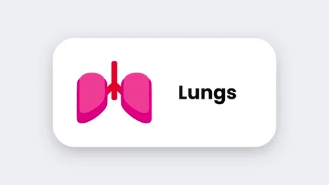 Lungs Stock Footage 334462841