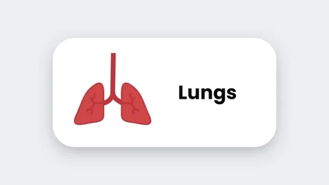 Lungs Stock Footage 334462845