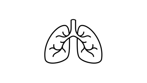 Lungs Vidéo 342774013