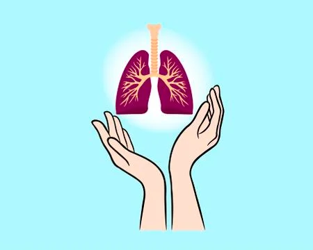 Lungs in hands Stock Illustration