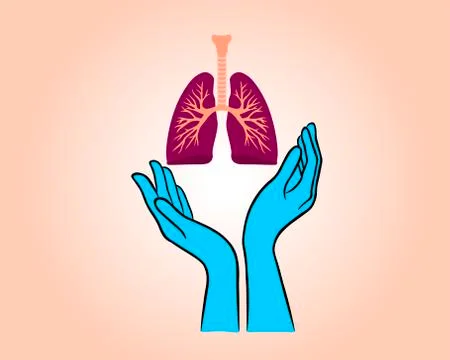 Lungs in hands Stock Illustration
