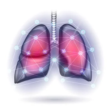 Lungs healing concept Stock Illustration