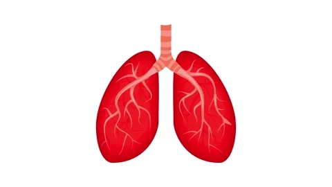 Lungs icon animation Stock Footage 152554182