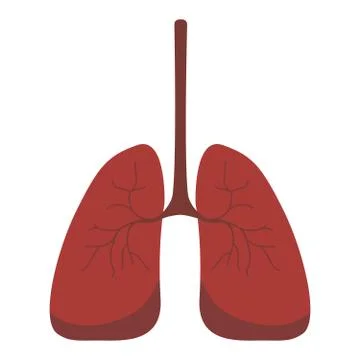 Lungs icon, flat style. Internal organs of the human design element, logo Illustrazione stock