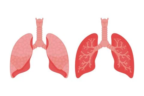 Lungs icon, flat style. Internal organs of the human design element, logo. An Stock Illustration