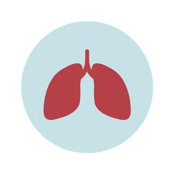 Lungs icon isolated on white background. Trendy flat style for graphic design Stock Illustration
