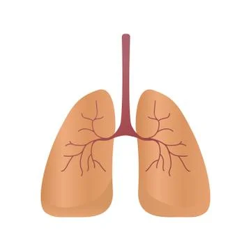 Lungs icon, vector style. Internal organs of the human design element, logo Illustrazione stock