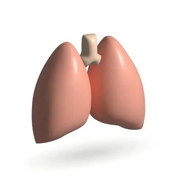 Lungs isolated vector 3d icon. lungs 3d illustration. Stock Illustration