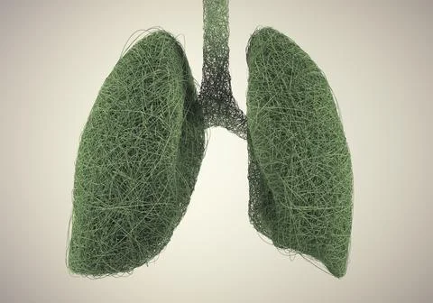 Lungs made of green wires. Complexity and organic growth concept. Illustrazione stock