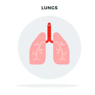 Lungs of a man in a gray circle vector flat isolated Illustrazione stock