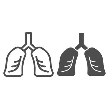 Lungs organ line and solid icon. Healthy human detailed anatomy of respiratory Stock Illustration