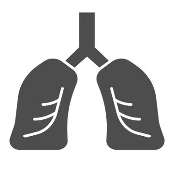 Lungs organ line and solid icon. Healthy human detailed anatomy of respiratory Stock Illustration