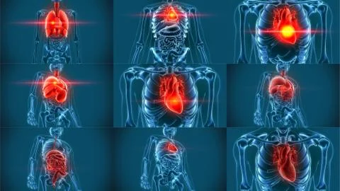 Lungs organs pain 3d rendering Stock Illustration