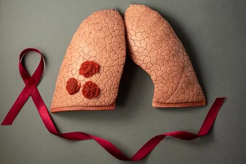 Lungs Stock Photos