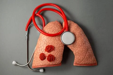 Lungs Stock Photos
