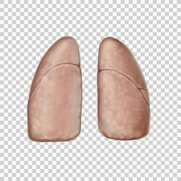 Lungs post Stock Illustration