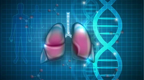 Lungs scientific background Stock Footage 68807857