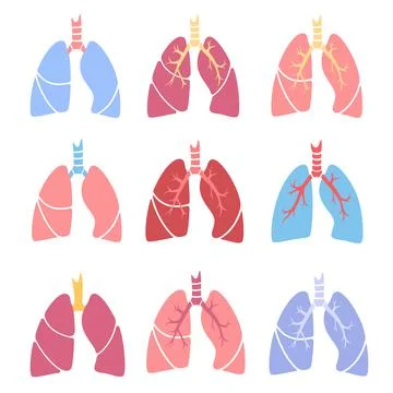 Lungs set icons Illustrazione stock