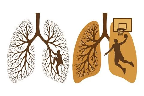 Lungs shaped like tree with climber silhouette  Lungs with basketball hoop .. Stock Illustration