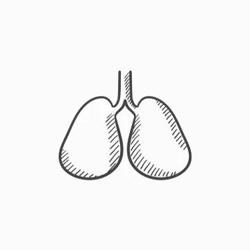 Lungs sketch icon Stock Illustration
