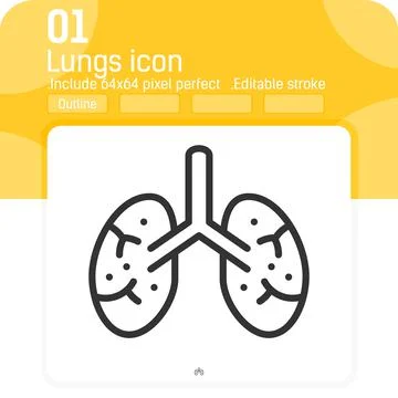 Lungs vector icon with outline style isolated on white background. Illustration Illustrazione stock