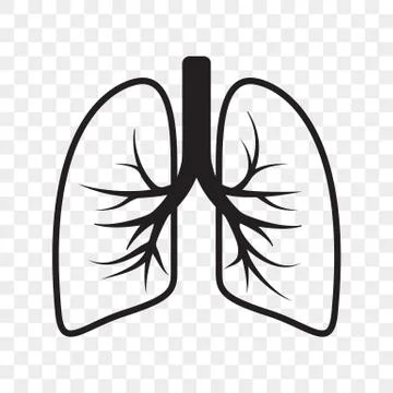 Lungs vector outline icon. Cold cough and bronchitis lung disease treatment Illustrazione stock
