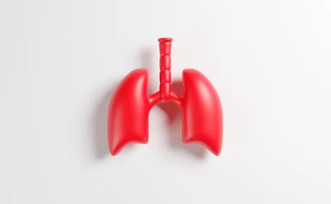 Lungs on white background, 3D render Stock Illustration