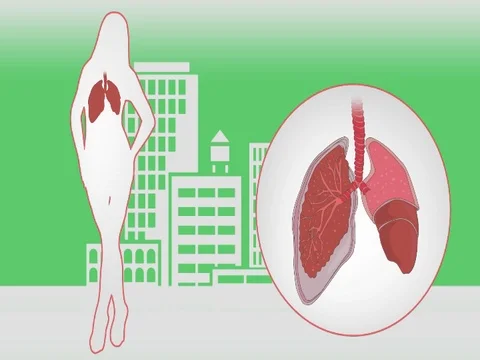 Lungs Woman Vector Animation Green SD Stock Footage