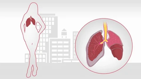 Lungs Woman Vector Animation White Stock Footage