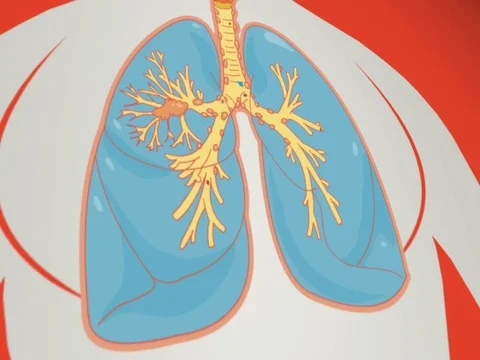 Lungs Zoom out Vector Animation Rouge Stock Footage