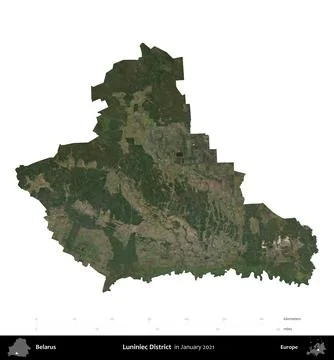 Luniniec District, Belarus, isolated on white. Sentinel - World Cover Mosaic. Stock Illustration