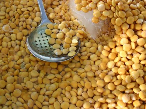Lupin Beans Stock Photos