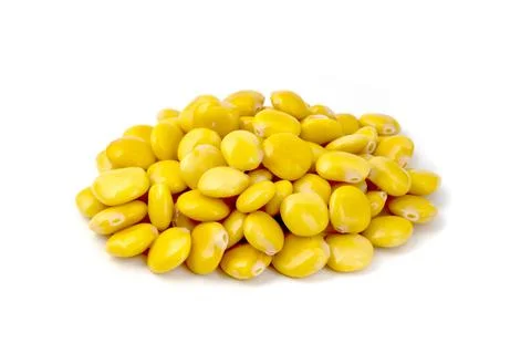 Lupin beans Stock Photos