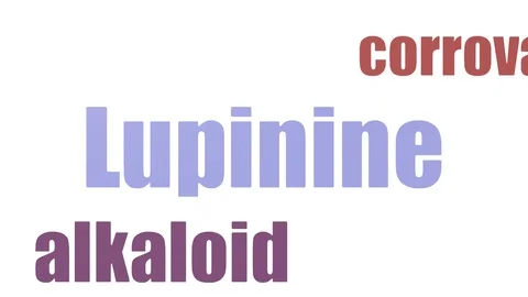 Lupinine Tagcloud Animated Isolated On White Vídeos de archivo 103667958