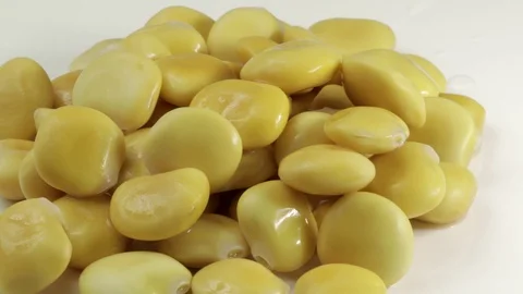 Lupinus albus beans, cooked and pickled in brine, with white background Stock Footage 99816071