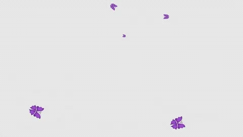 LUPUS DAY Vidéo 334640475