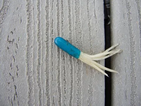 Lure on the Dock Stock Photos